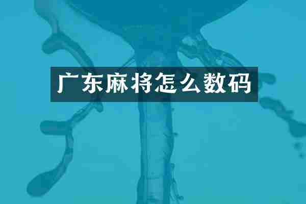 广东麻将怎么数码