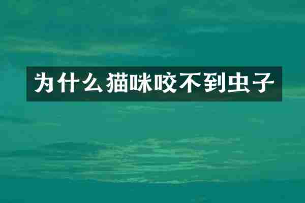 为什么猫咪咬不到虫子