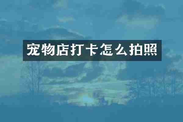 宠物店打卡怎么拍照
