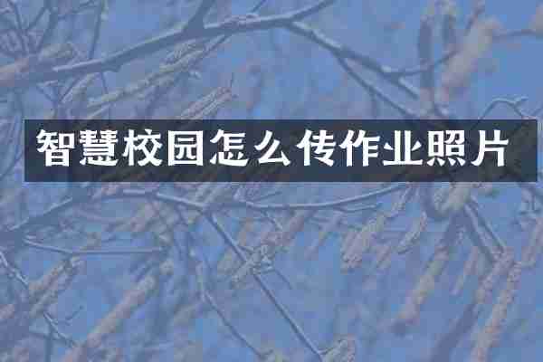智慧校园怎么传作业照片