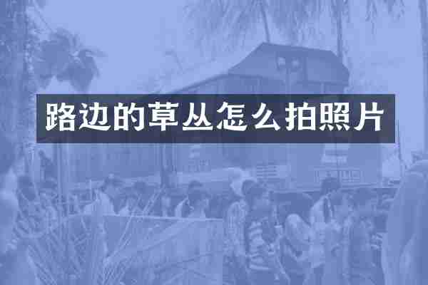 路边的草丛怎么拍照片