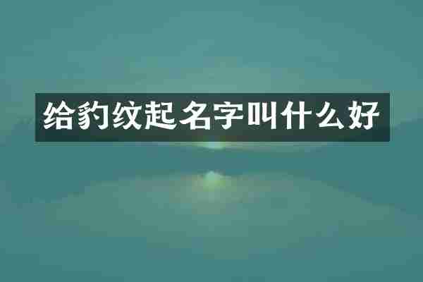 给豹纹起名字叫什么好