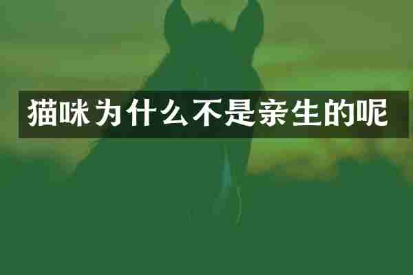 猫咪为什么不是亲生的呢
