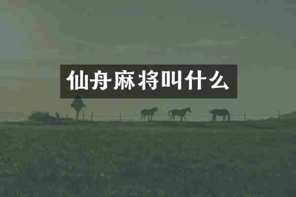 仙舟麻将叫什么