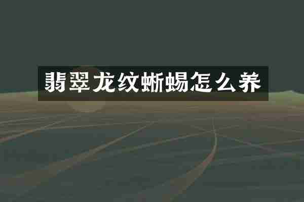 翡翠龙纹蜥蜴怎么养