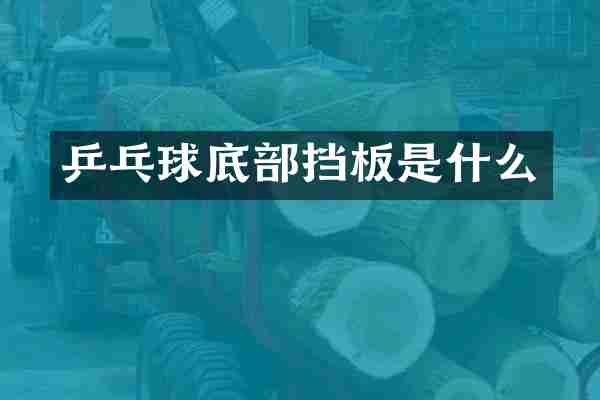 乒乓球底部挡板是什么