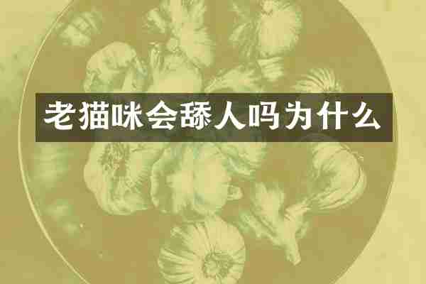 老猫咪会舔人吗为什么
