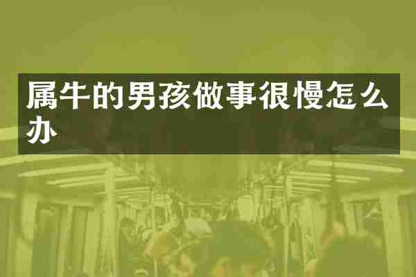 属牛的男孩做事很慢怎么办