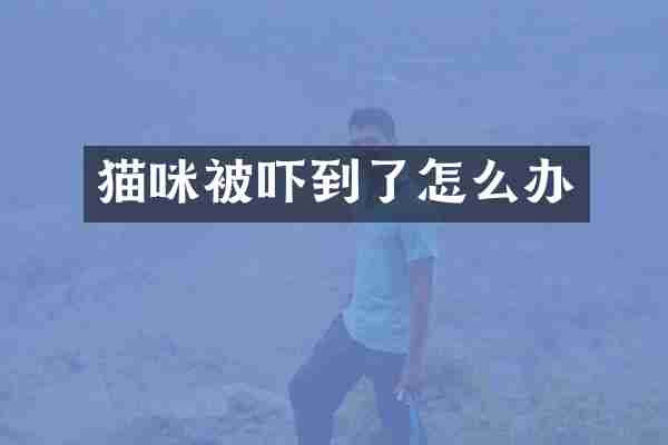 猫咪被吓到了怎么办