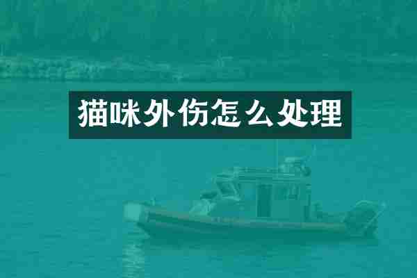 猫咪外伤怎么处理