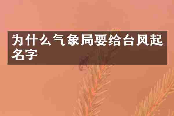 为什么气象局要给台风起名字
