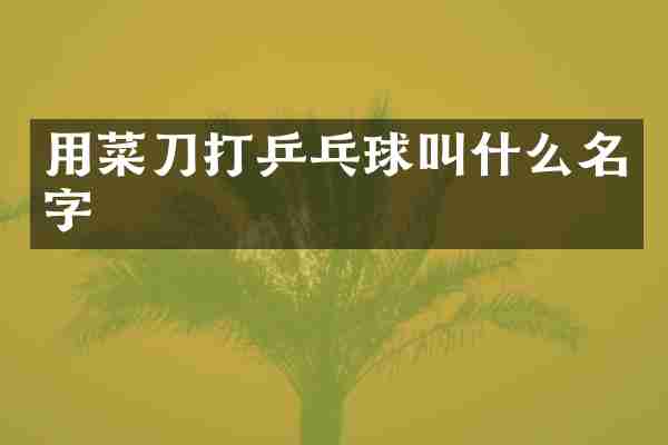 用菜刀打乒乓球叫什么名字