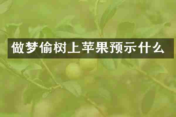 做梦偷树上苹果预示什么