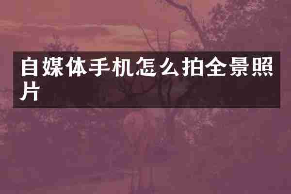 自媒体手机怎么拍全景照片