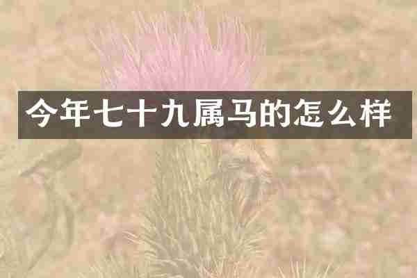 今年七十九属马的怎么样