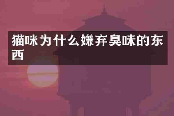 猫咪为什么嫌弃臭味的东西