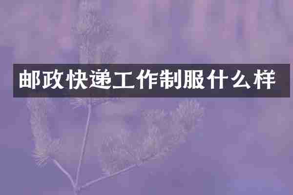 邮政快递工作制服什么样