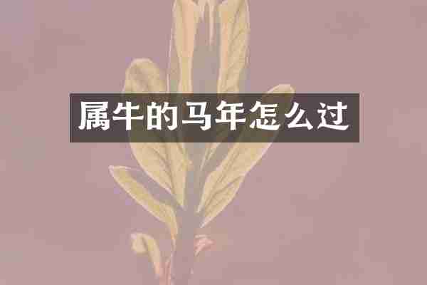属牛的马年怎么过