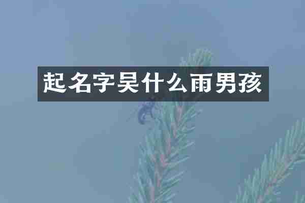 起名字吴什么雨男孩