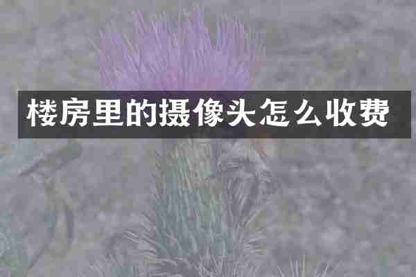 楼房里的摄像头怎么收费