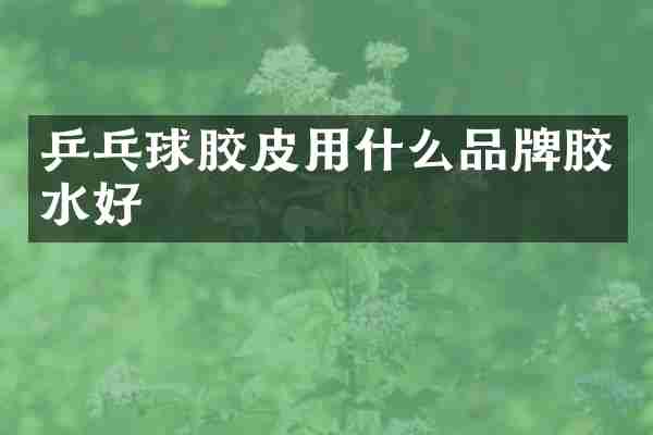 乒乓球胶皮用什么品牌胶水好