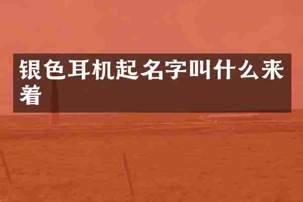 银色耳机起名字叫什么来着