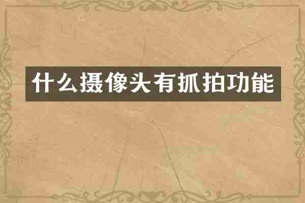 什么摄像头有抓拍功能
