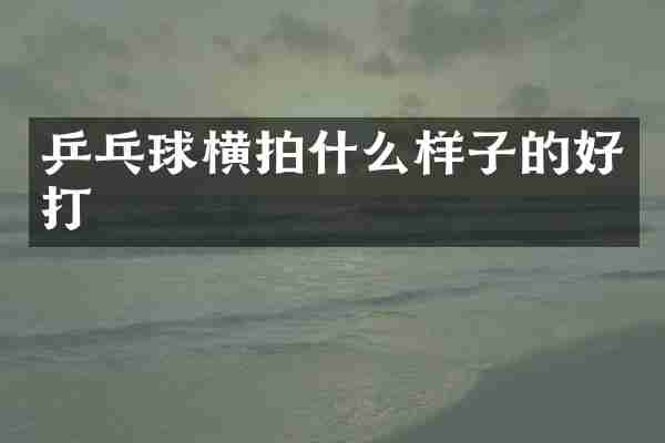 乒乓球横拍什么样子的好打