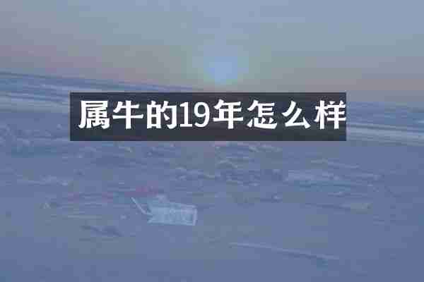 属牛的19年怎么样