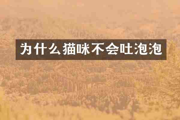 为什么猫咪不会吐泡泡