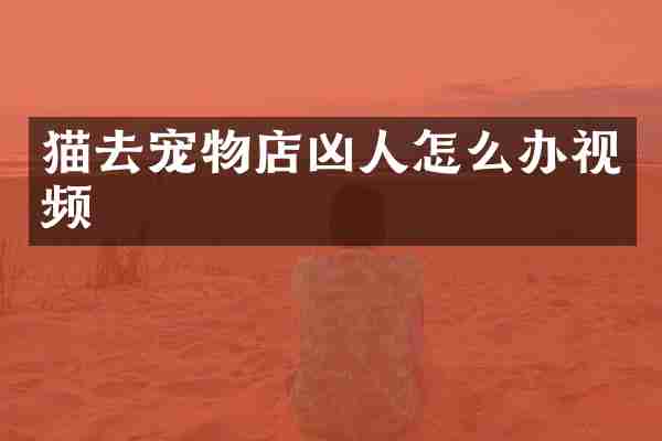 猫去宠物店凶人怎么办视频