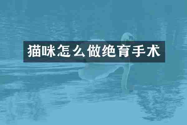 猫咪怎么做绝育手术