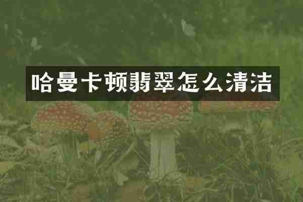 哈曼卡顿翡翠怎么清洁
