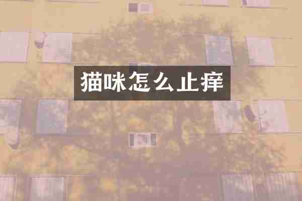 猫咪怎么止痒