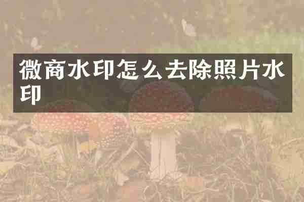 微商水印怎么去除照片水印
