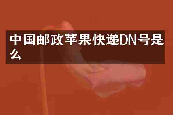 中国邮政苹果快递DN号是什么
