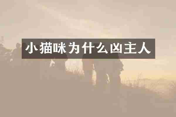 小猫咪为什么凶主人