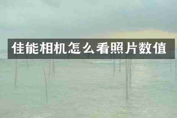佳能相机怎么看照片数值