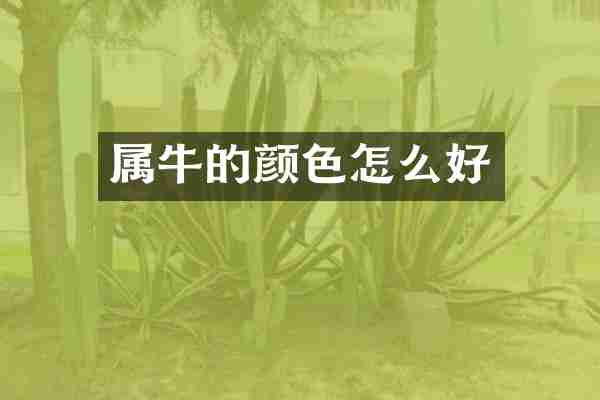 属牛的颜色怎么好