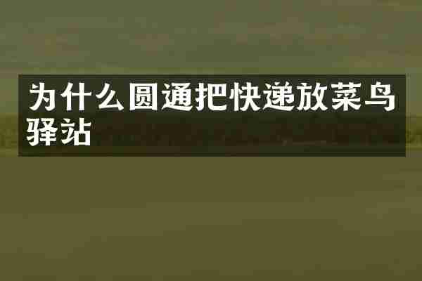 为什么圆通把快递放菜鸟驿站
