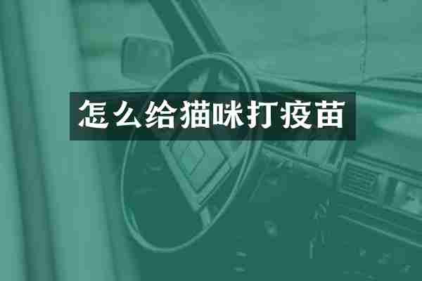 怎么给猫咪打疫苗