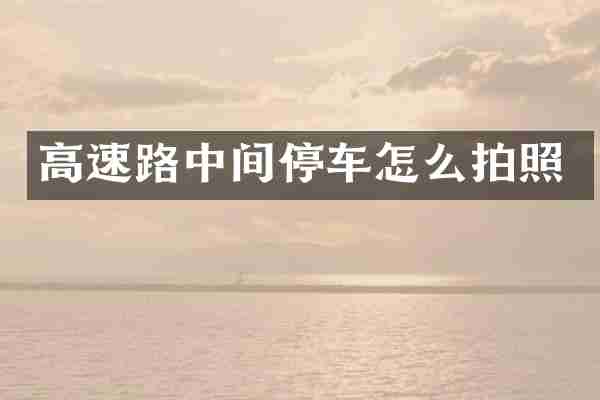 高速路中间停车怎么拍照