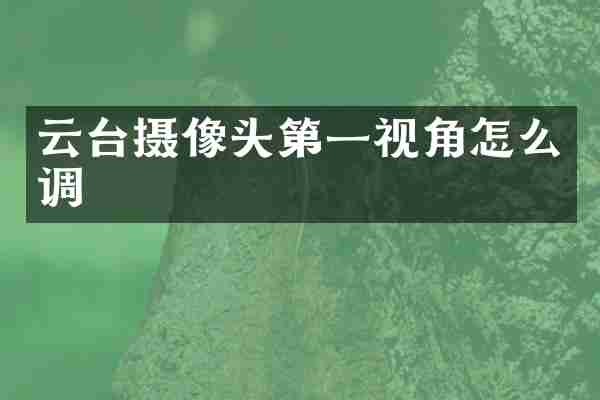 云台摄像头第一视角怎么调