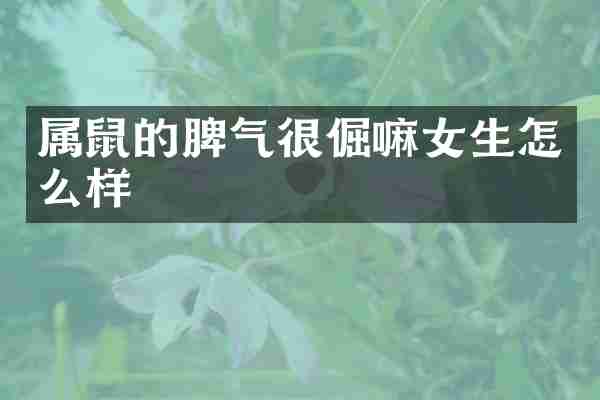 属鼠的脾气很倔嘛女生怎么样