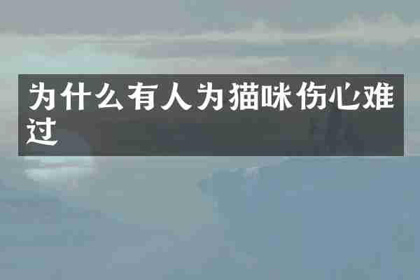 为什么有人为猫咪伤心难过