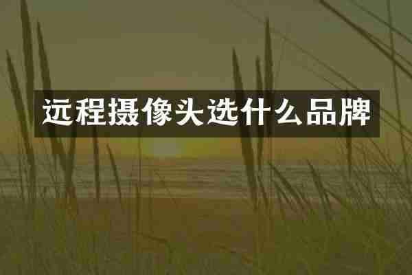 远程摄像头选什么品牌