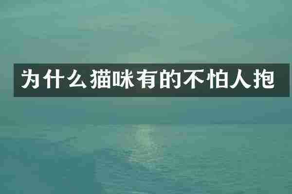 为什么猫咪有的不怕人抱