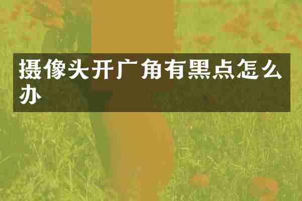 摄像头开广角有黑点怎么办
