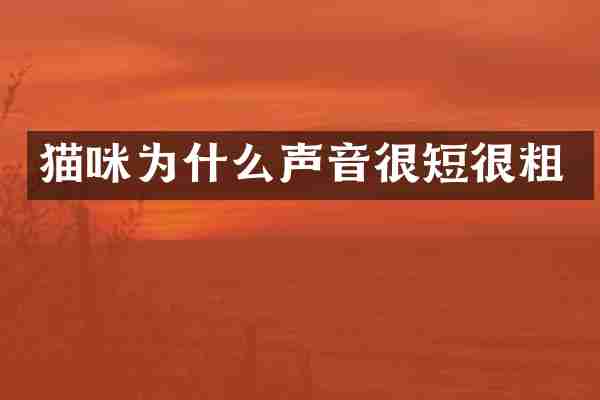 猫咪为什么声音很短很粗