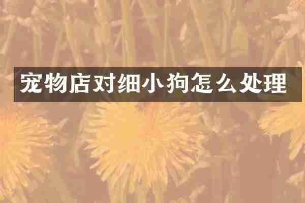 宠物店对细小狗怎么处理